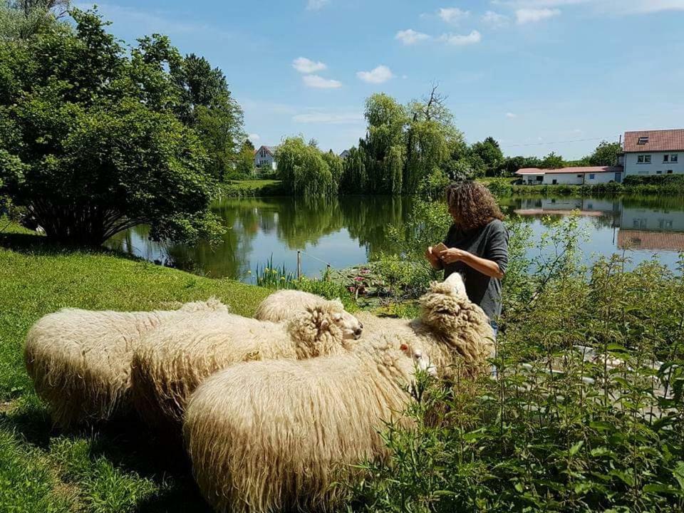 Ferienwohnung Karlsruhe Kültér fotó